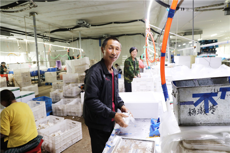 村民梁國(guó)瑞在平泉市泉城食用菌種植有限公司車(chē)間包裝食用菌  攝影  江凌.jpg
