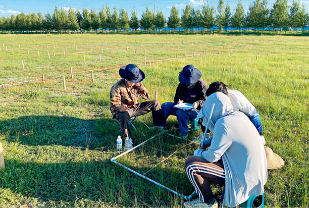 植物群落調(diào)查與樣品采集4.jpg